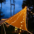Miniatyrbilde 3 av 5: Strenglys 20Ft 40 LED Fe Lys Operert Vanntett Innendørs Utendørs Julelys for Soverom Fest Bryllup Jul