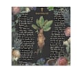 Miniatyrbillede 1 af 2: Harry Potter Yume Fantasy Print 40cm x 40cm Sort Sort 40cm x 40cm