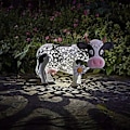 Miniatyrbilde 1 av 5: Solcellelampe LED Giraff Kylling Kobberfarget Metalleffekt Hage