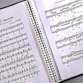Miniatyrbillede 4 af 5: 30 lomme A4 nodemappe til musikere, indeksmapper lavet af plast TA