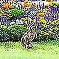 Miniatyrbilde 5 av 5: Dinosaur-Nisse Statue Hagefigur Dinosaur Spiser Nisser Hage Utemiljø Dekor,l,1stk