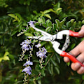 Miniatyrbillede 4 af 5: Havearbejde Saks Værktøj Beskæring Saks Rustfrit Stål Havearbejde Blomster Værktøj