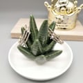 Miniatyrbilde 1 av 3: Kaktus ringholder for smykker, keramisk sukkulent smykketårn, sukkulent ringholder, dekorativt displaystativ for hjemmeinnredning