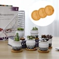 Miniatyrbillede 5 af 5: 6 stk. planteblomsterpotte drypbakker planteskål blomsterpottebeholder