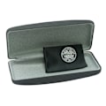 Miniatyrbillede 2 af 2: Celtic FC Brilleetui One Size Sort Black One Size