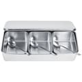 Stainless Steel Spice Box with 3 Compartments and Spoons