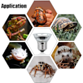 Miniatyrbillede 2 af 5: E27 50W Dæmpbar Reptilvarmelampe, UVA UVB Skildpaddelampe Fuld Spektrum Sollys til Reptiler og Padder Slange, 4-pak