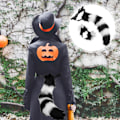 Miniatyrbilde 3 av 5: (svart og hvitt) Dyre Stor Hale Rev Katt Hund Ulv Hale og Ører Hodebånd Cosplay Kostyme Tilbehør Egnet for fester og danser