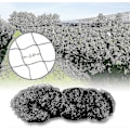 Pikkukuva 2 / 5: 15m X 15m Linnunsuojaverkko Kasviverkko Lampi verkko Puutarhaverkko Puutarhaan, 5 X 5 Cm Suuret Reiät, 2024 Ping