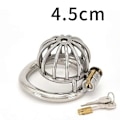 Miniatyrbild 2 av 4: 304 Rostfritt Stål Metall Manlig Kyskhetsbur Anordning Återhållsamhet Spikad Ring med Lås [HK] 4CM