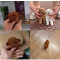 Miniatyrbild 5 av 5: 2025 Ny Robot Hund för Vuxna, AI Robot Hund, Nicoo - Min Realistiska Robotvalp Som Agerar Som en Riktig Valp - Går, Skäller, Viftar på Svansen [YJD] A