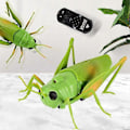 Pikkukuva 5 / 5: Simulaatiohyönteinen Infrapuna Kaukosäädin Eläin Lelu RC Skorpioni Hämähäkki Leppäkerttu Lasten Lahja [HK] Praying mantis