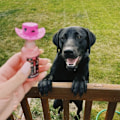 Miniatyrbillede 5 af 5: 20 stk. Mini Cowboyhatte Bachelorette Party KØ-PRINT AX 20 stk. [kk] Cowprint A x 20 pcs Cowprint A x 20 pcs