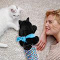 Miniatyrbild 3 av 5: Kattdocka Brottare Plysch Handdocka Leksak med Vaddering, Rolig Interaktiv Kattleksak Träning & Övningshandske för Katter[HK] Default
