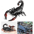 Miniatyrbild 3 av 5: Avlastning Leksak Stressreducerande Stretchbar Multifunktionell Sensorisk Fidget Skorpion Klämleksak För Avkoppling