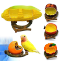 Miniatyrbild 2 av 4: Fruit Shape Birds Feeder Bowl Parrot Water Food Feeding Container Animal Drinking Feed Cup For Birds Cage Accessories 4
