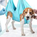 Miniatyrbillede 2 af 4: Kæledyrspleje Hængekøje Hjælper Assistent Multifunktionelt Tørt Håndklæde Kat Hunde Fastholdelsespose blue M
