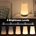 Miniatyrbild 5 av 5: Led Bedside Lamp, Touch Dimmable Atmosphere Table Lamp With Remote Control, 13