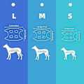 Miniatyrbillede 4 af 4: Kæledyrspleje Hængekøje Hjælper Assistent Multifunktionelt Tørt Håndklæde Kat Hunde Fastholdelsespose blue M