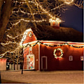 Miniatyrbild 2 av 4: Led String Lights 100M 1000Leds Outdoor, Christmas Decoration Lights With 8 Modes, Ip44 Waterproof