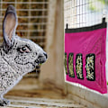 Miniatyrbild 3 av 4: Rabbit Hay Feeding Station Hay Feed Dispenser For Rabbits 28*46*4cm Red