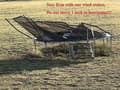 Miniatyrbild 2 av 4: Trampolines Wind Stakes Heavy Duty U Type Sharp Ends Safety Ground
