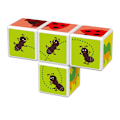 Pikkukuva 5 / 7: Magicube Printed Insects magneettipalikat + kortit 7 kpl GEOMAG GEO-121