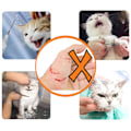 Miniatyrbild 4 av 7: Kattmunkorg för trimning och behandling Vit M