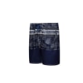 Miniatyrbillede 2 af 4: Herre Quick Dry badeshorts Grå XXL