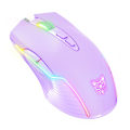 Miniatyrbillede 2 af 2: ONIKUMA RGB Wired Gaming Mus CW905 Lilla