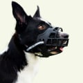 Miniatyrbillede 2 af 4: Hunde Næseparti M