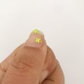 Miniatyrbillede 4 af 5: Firekløver - Neglekunst pailletter Grøn