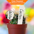 Miniatyrbild 2 av 6: Växtetiketter / Plantskyltar för Enkel Växtidentifiering - 100 pack Vit 10x2 cm