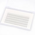 Miniatyrbillede 1 af 5: Vippeklaser eyelash extension 6D-D 100-dele Sort 13 mm