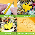 Miniatyrbild 6 av 10: INF 60-pack Flugfångare / Flugfälla / Klibbig insektsfälla Gul