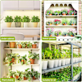 Miniatyrbillede 5 af 11: LED lyspanel til planter - EU-stikadapter