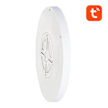 Miniatyrbild 6 av 7: Smart taklampa 30cm WiFi/Bluetooth 16M RGBCW Gosund LB12 1920lm Tuya + Fjärrkontroll.