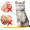 Miniatyrbild 5 av 7: Kattmunkorg för trimning och behandling Vit M