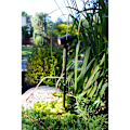 Miniatyrbild 5 av 7: Astro Spotlight riktbar 180°