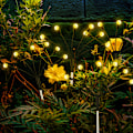 Miniatyrbild 5 av 7: Solcellsdriven trädgårdsbelysning Firefly med 8 LED-lampor 4-pack Flerfärgad