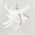 Miniatyrbild 4 av 4: Interactive Cat feather teaser troll-leksak kattfjäderleksak med sugkopp Vit