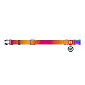 Miniatyrbild 5 av 5: Waudog gradient hundhalsband i nylon med QR-kod, orange, storlek M