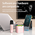 Miniatyrbild 11 av 11: Dual Microphone Home KTV Bluetooth-högtalarsystem