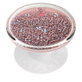 Miniatyrbild 2 av 8: POPSOCKETS Tidepool Rose OW Avtagbart Grip med Ställfunktion LUX