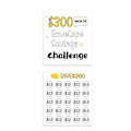 Pikkukuva 4 / 4: Money Saving Challenge Binder - Mini Cash Envelope System - 300 dollarin tavoite Valkoinen