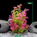 Miniatyrbillede 3 af 3: Kunstig vandplantedekoration Model 3