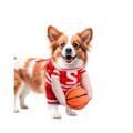 Miniatyrbillede 5 af 5: Ny basketballtrøje til hunde XL