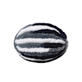 Miniatyrbild 1 av 4: Jättegarnnystan Supertjockt isländskt ullblandning Vit+svart