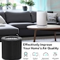Miniatyrbillede 4 af 4: 2-pakke udskiftningsfilter til Molekule Air Mini