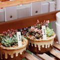 Miniatyrbild 5 av 6: Växtetiketter / Plantskyltar för Enkel Växtidentifiering - 100 pack Vit 10x2 cm